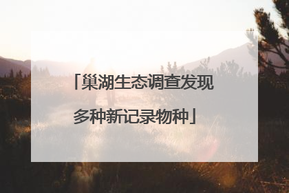 巢湖生态调查发现多种新记录物种