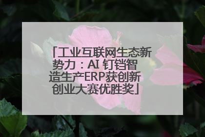 工业互联网生态新势力：AI 钉铛智造生产ERP获创新创业大赛优胜奖