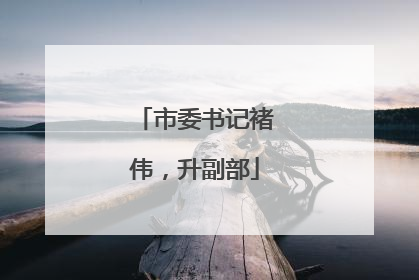 市委书记褚伟，升副部