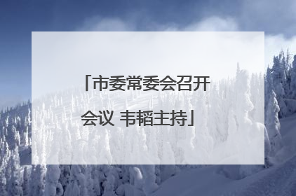 市委常委会召开会议 韦韬主持