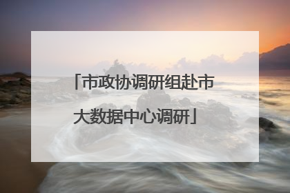 市政协调研组赴市大数据中心调研