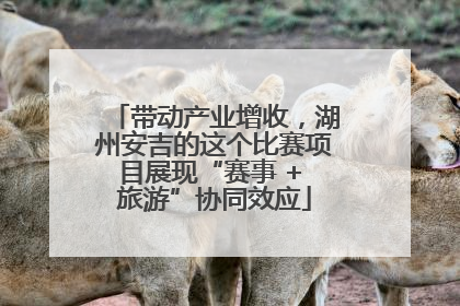 带动产业增收，湖州安吉的这个比赛项目展现“赛事 + 旅游”协同效应