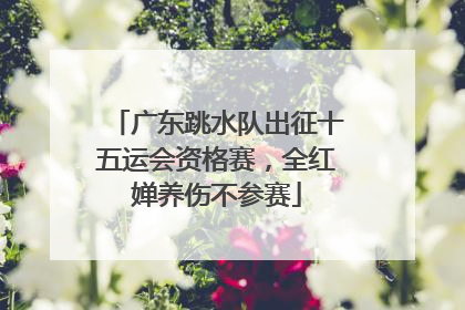 广东跳水队出征十五运会资格赛，全红婵养伤不参赛