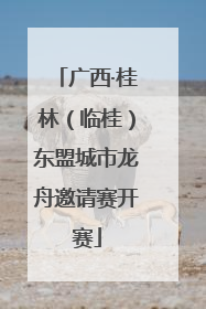 广西·桂林（临桂）东盟城市龙舟邀请赛开赛