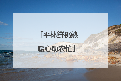 平林鲜桃熟 暖心助农忙