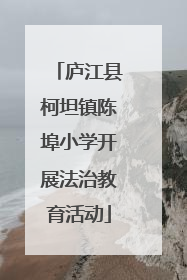 庐江县柯坦镇陈埠小学开展法治教育活动