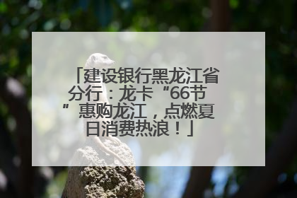 建设银行黑龙江省分行：龙卡“66节”惠购龙江，点燃夏日消费热浪！