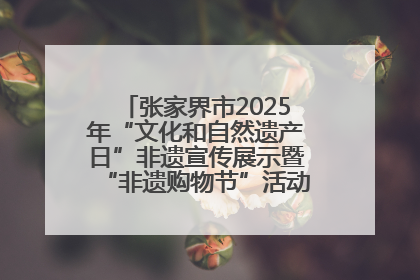张家界市2025年“文化和自然遗产日”非遗宣传展示暨“非遗购物节”活动在慈利县盛大启幕