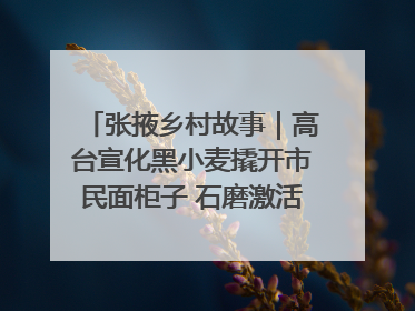 张掖乡村故事｜高台宣化黑小麦撬开市民面柜子 石磨激活村集体钱匣子