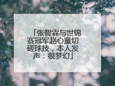 张智霖与世锦赛冠军赵心童切磋球技，本人发声：很梦幻