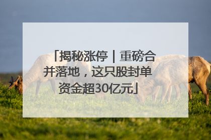 揭秘涨停｜重磅合并落地，这只股封单资金超30亿元