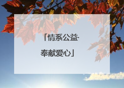 情系公益·奉献爱心