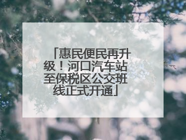 惠民便民再升级！河口汽车站至保税区公交班线正式开通