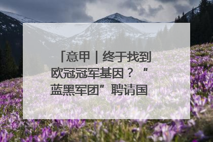 意甲｜终于找到欧冠冠军基因？“蓝黑军团”聘请国米名宿齐沃执教