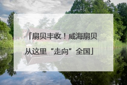 扇贝丰收！威海扇贝从这里“走向”全国