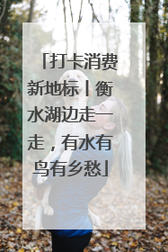 打卡消费新地标丨衡水湖边走一走，有水有鸟有乡愁