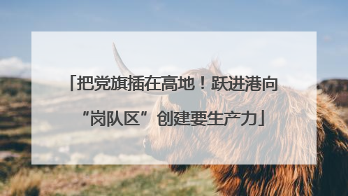 把党旗插在高地！跃进港向“岗队区”创建要生产力