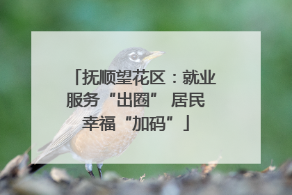 抚顺望花区：就业服务“出圈” 居民幸福“加码”