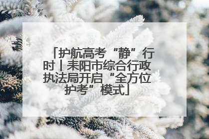护航高考“静”行时丨耒阳市综合行政执法局开启“全方位护考”模式