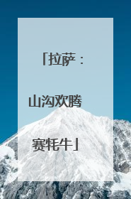 拉萨：山沟欢腾赛牦牛