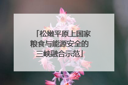 松嫩平原上国家粮食与能源安全的三峡融合示范