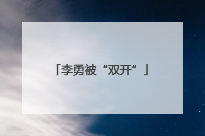 李勇被“双开”