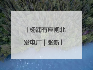 杨浦有座闸北发电厂｜张新