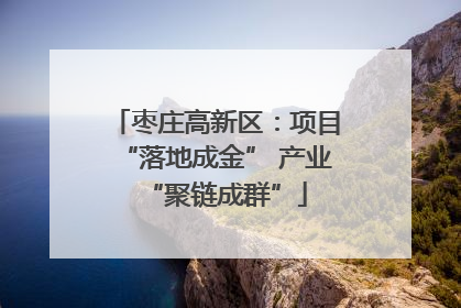 枣庄高新区：项目“落地成金” 产业“聚链成群”