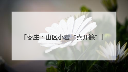 枣庄：山区小麦“喜开镰”