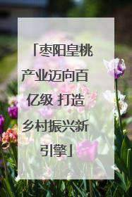 枣阳皇桃产业迈向百亿级 打造乡村振兴新引擎