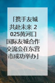 携手友城 共赴未来 2025黄河口国际友城合作交流会在东营市成功举办