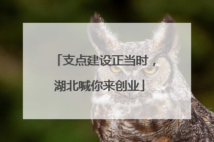 支点建设正当时，湖北喊你来创业