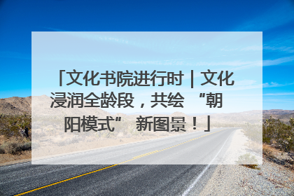 文化书院进行时｜文化浸润全龄段，共绘 “朝阳模式” 新图景！