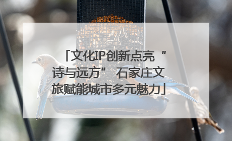 文化IP创新点亮“诗与远方” 石家庄文旅赋能城市多元魅力