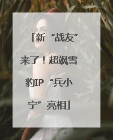 新“战友”来了！超飒雪豹IP“兵小宁”亮相