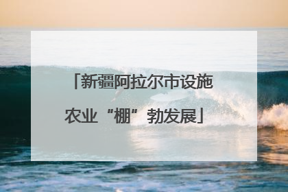 新疆阿拉尔市设施农业“棚”勃发展