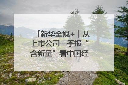 新华全媒+｜从上市公司一季报“含新量”看中国经济发展向“新”