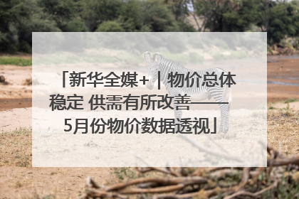 新华全媒+｜物价总体稳定 供需有所改善——5月份物价数据透视