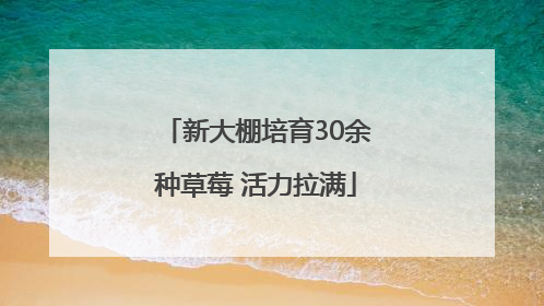 新大棚培育30余种草莓 活力拉满
