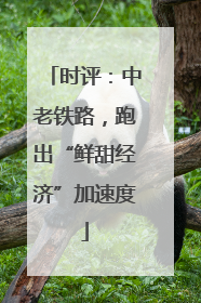 时评：中老铁路，跑出“鲜甜经济”加速度