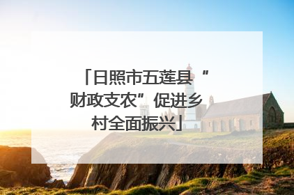 日照市五莲县“财政支农”促进乡村全面振兴