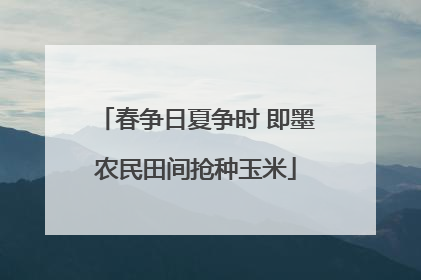 春争日夏争时 即墨农民田间抢种玉米