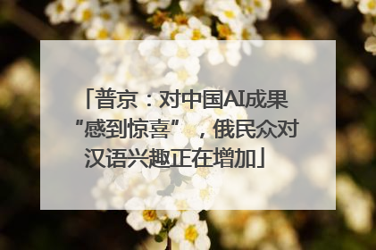 普京：对中国AI成果“感到惊喜”，俄民众对汉语兴趣正在增加