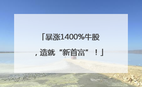 暴涨1400%牛股，造就“新首富”！