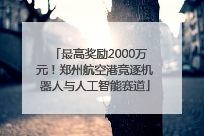 最高奖励2000万元！郑州航空港竞逐机器人与人工智能赛道