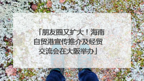 朋友圈又扩大！海南自贸港宣传推介及经贸交流会在大阪举办