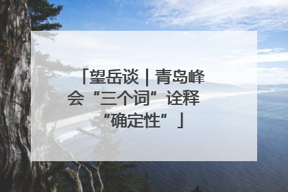 望岳谈｜青岛峰会“三个词”诠释“确定性”