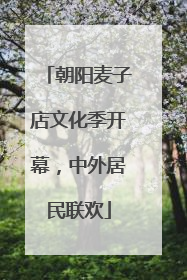 朝阳麦子店文化季开幕，中外居民联欢