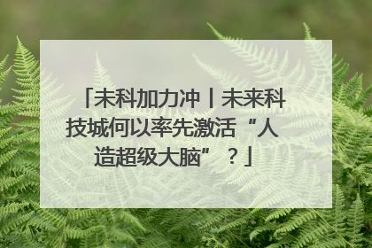 未科加力冲丨未来科技城何以率先激活“人造超级大脑”？