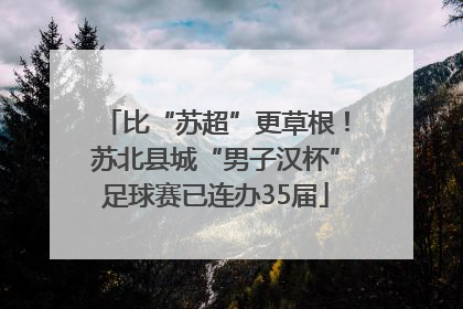比“苏超”更草根！苏北县城“男子汉杯”足球赛已连办35届